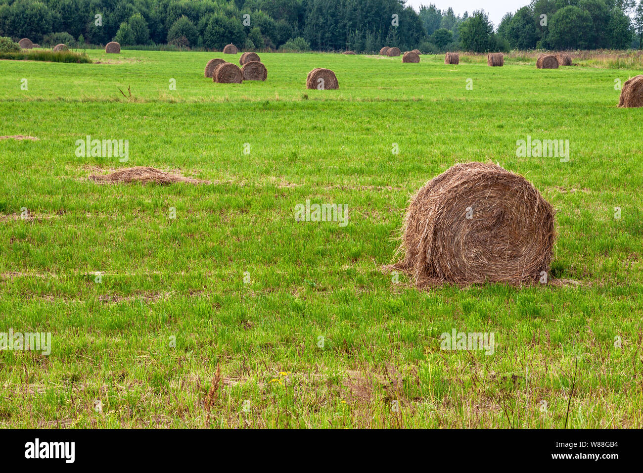 Straw bales with blue cloudy sky Stock Photo - Alamy
