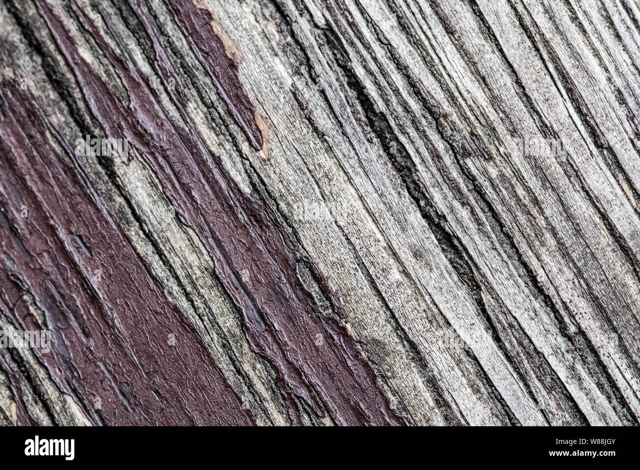 Diagonalstriped wood texture background Stock Photo