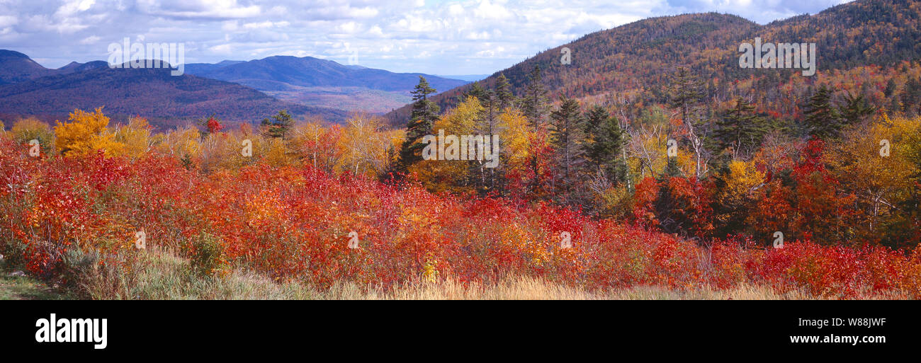 White mountain national forest hi-res stock photography and images - Alamy