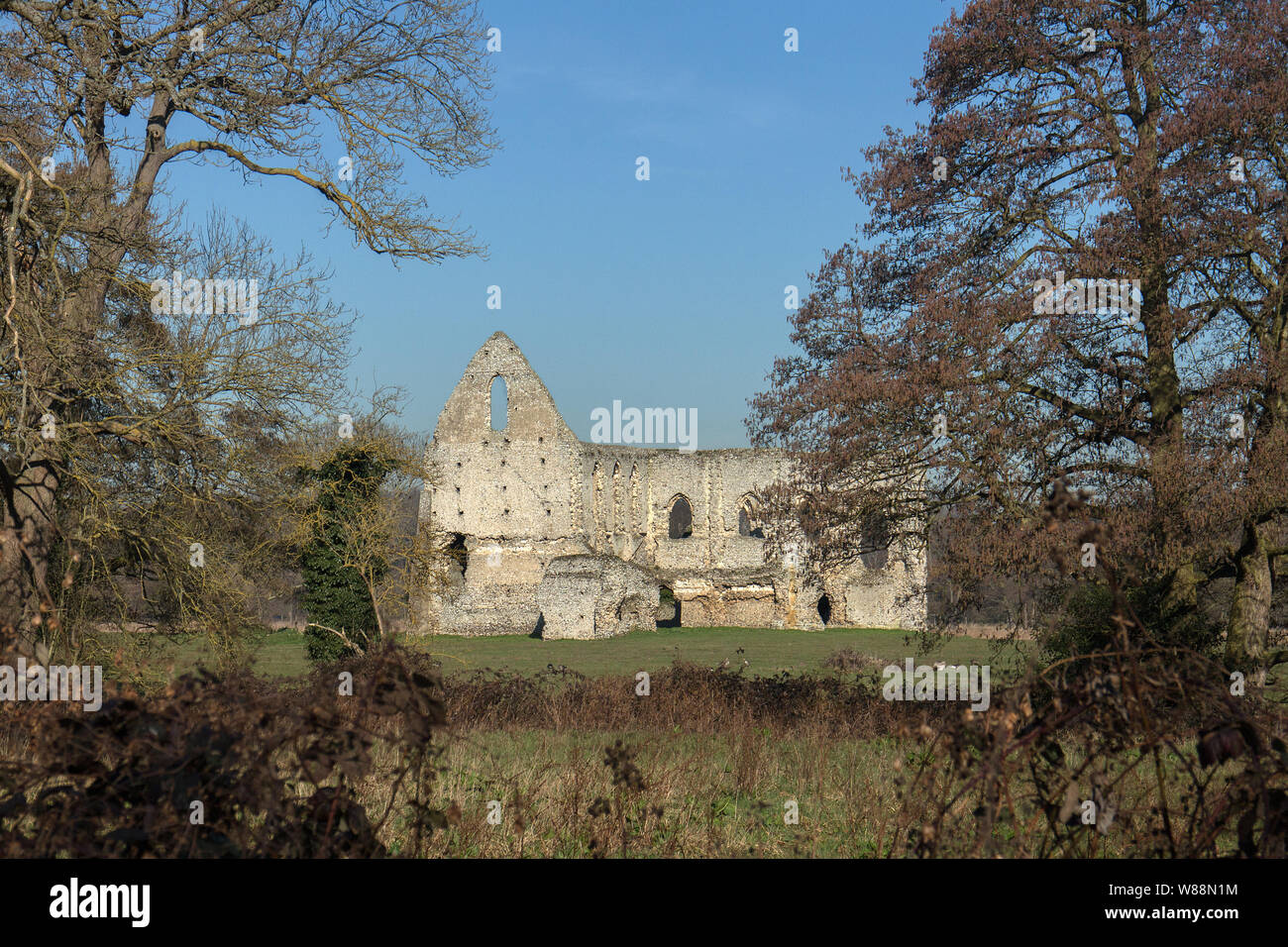 Newark Priory (ruin) by River Wey near Pyrford, Surrey Stock Photo