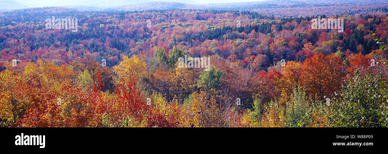 White mountain national forest hi-res stock photography and images - Alamy