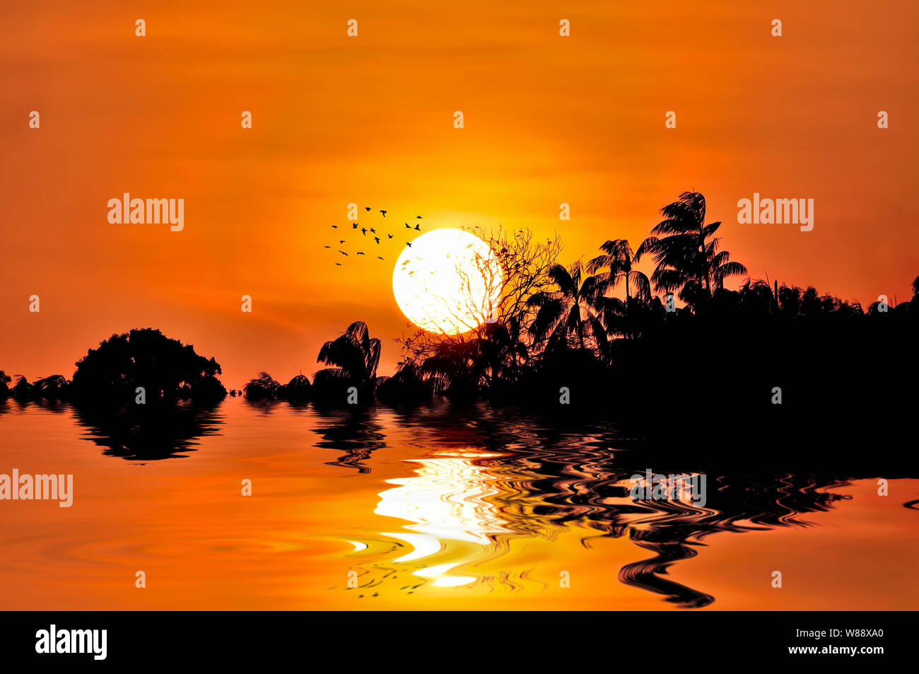 Dramatic Sunset scenery with silhouette of trees over water reflection ...