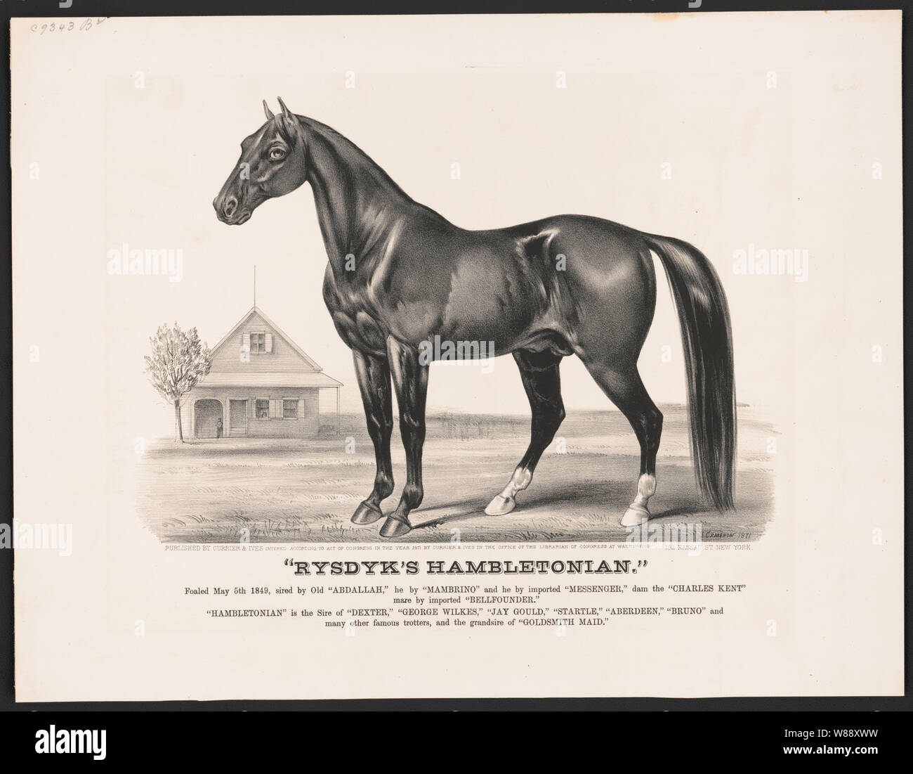 Hambletonian hires stock photography and images Alamy