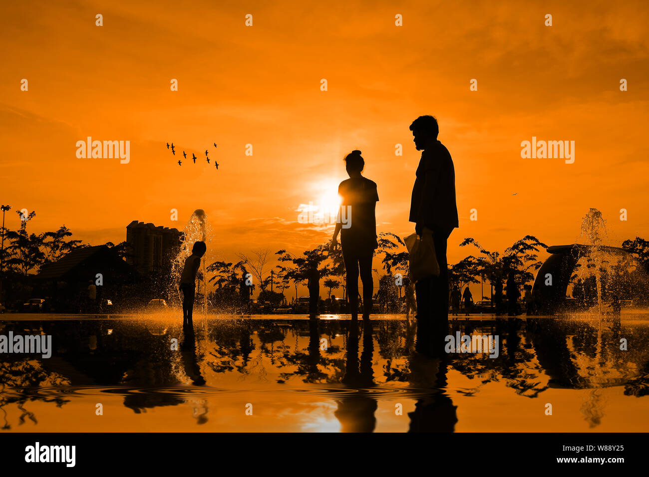 silhouettes of family playing in water fountain at sunset Stock Photo ...