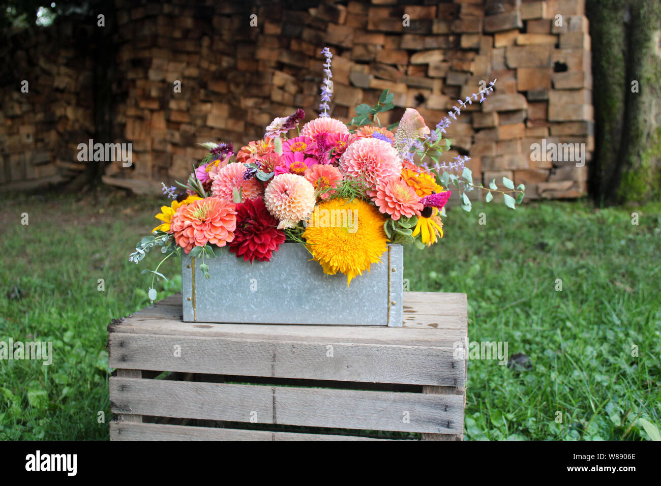 Flower Arrangement in Box in Front of Wood Background Stock Photo