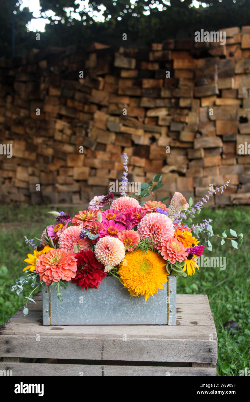 Flower Arrangement in Box in Front of Wood Background Stock Photo