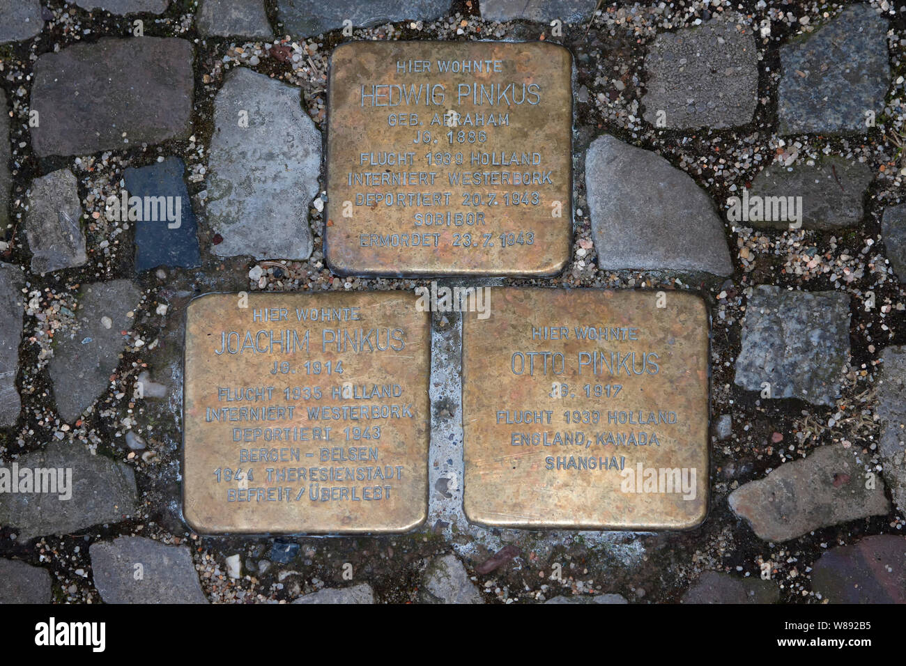 Stumbling stones in Berlin, Germany Stock Photo Alamy