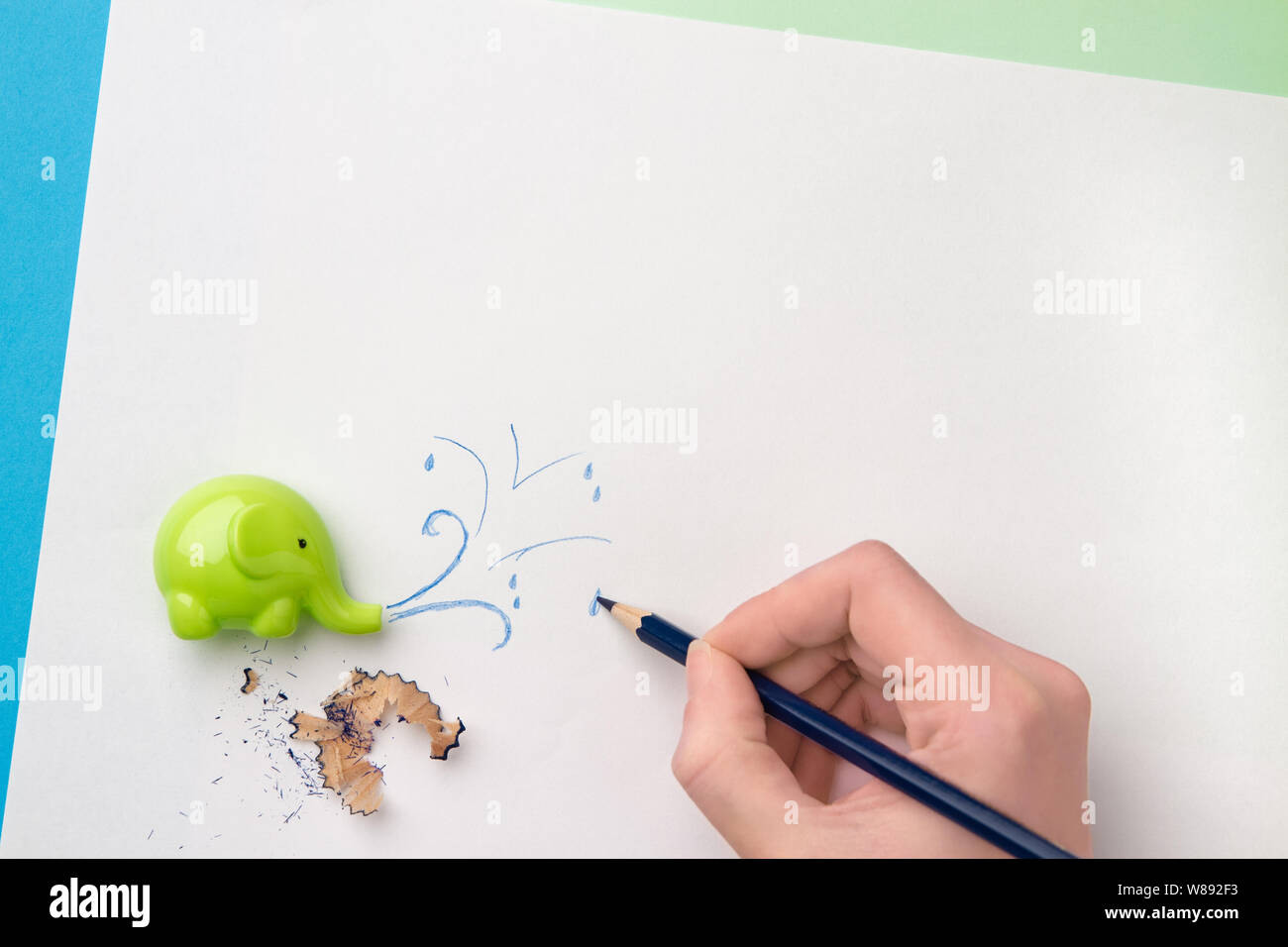 Cute sharpener in the form of an elephant, hand with blue pencil drawing eruption of water and a pencil filings. Flat lay Stock Photo