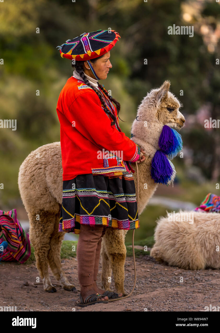 Cuzco, Peru - May 3, 2019. Peruvian woman with traditional clothing standing with alpaca Stock Photo