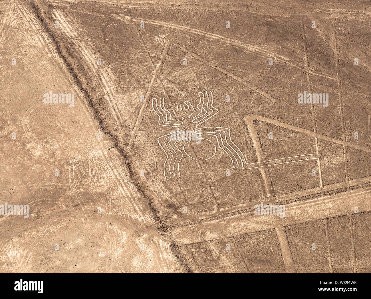 Aerial view of the spider geoglyph drawing in the peruvian coastal desert known as the mysterious Nazca Lines near Nazca city, Peru. Stock Photo
