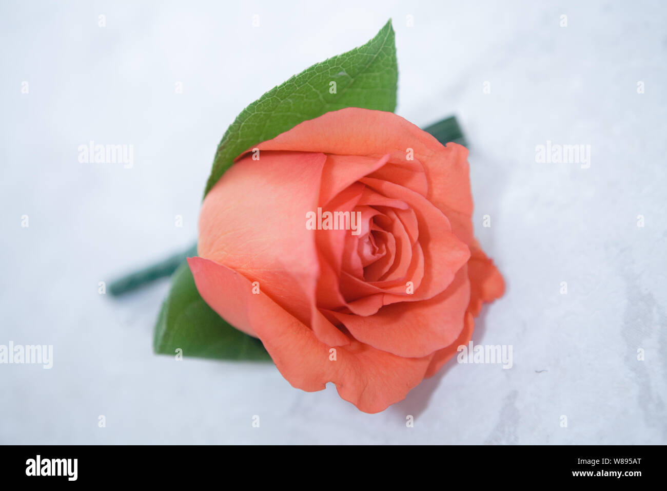 Fall Colour Wedding Flowers Stock Photos Fall Colour Wedding