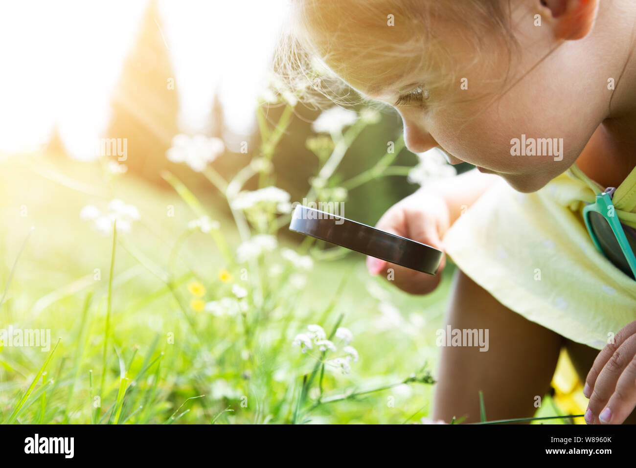 Little Girl Looking At Flower Through Magnifying Glass Stock Photo