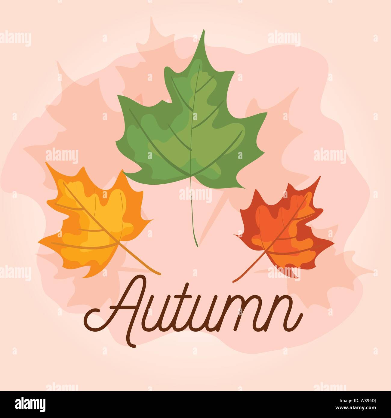 autumn leaves with nature branches plants Stock Vector Image & Art - Alamy