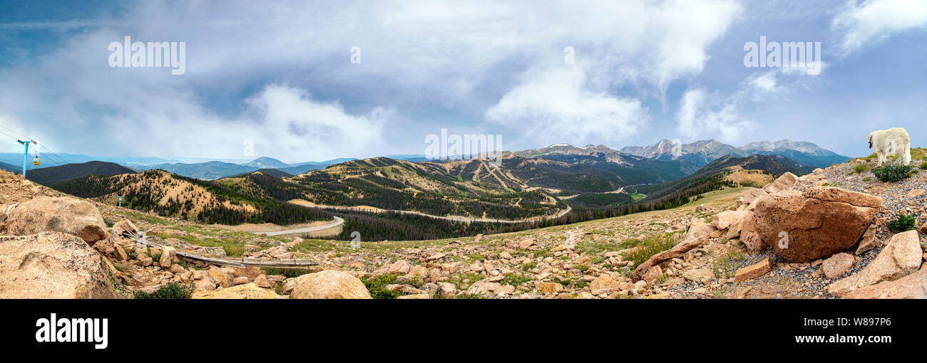 Summer panorama view of Rocky Mountains; Continental Divide; from Monarch Pass; Colorado; USA Stock Photo