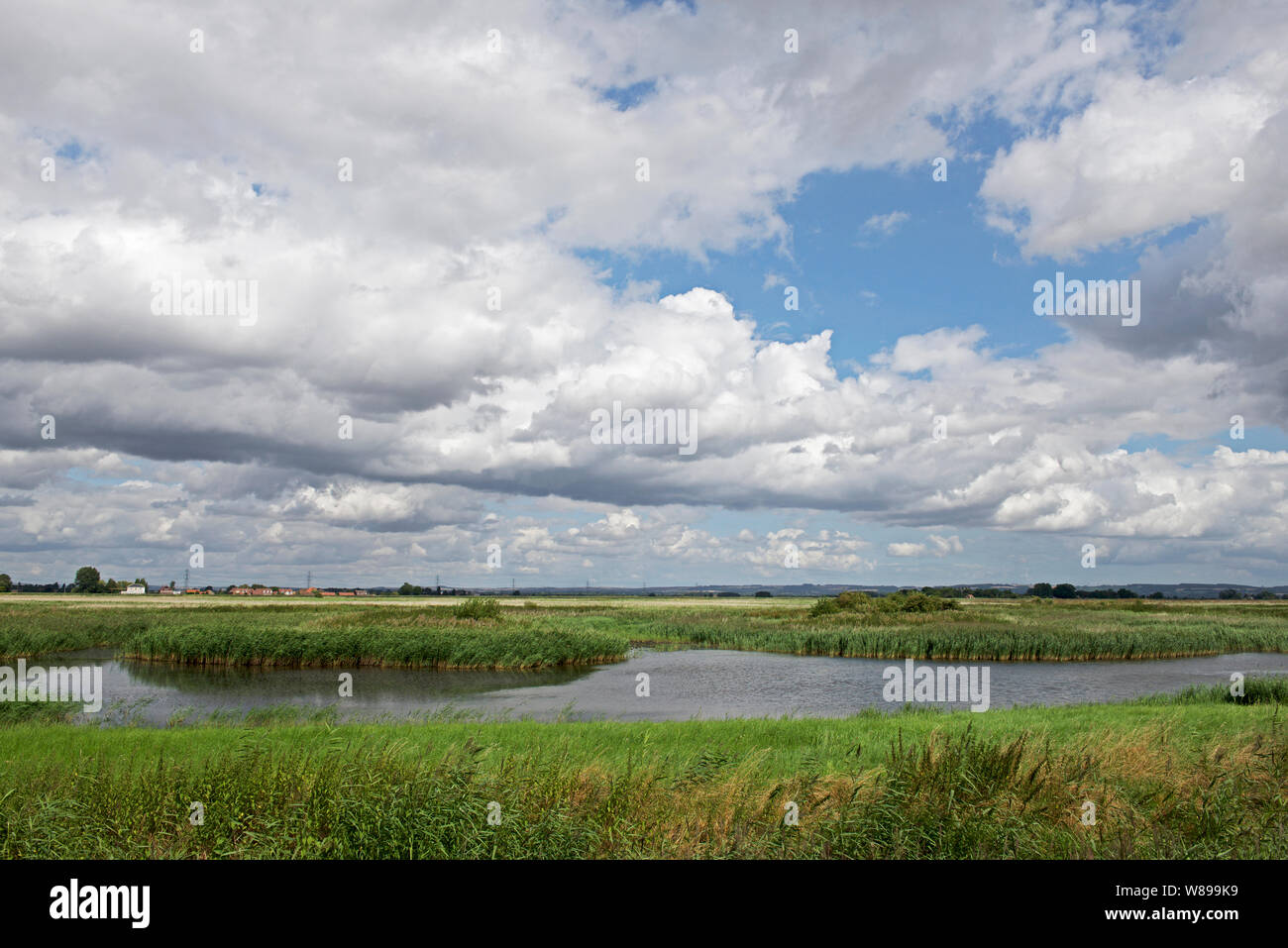Blacktoft Sands, an RSPB nature reserve in East Yorkshire, England UK Stock Photo