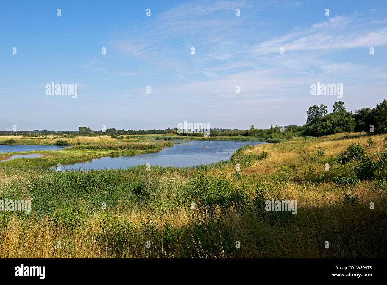 North Cave Wetlands, a nature reserve in East Yorkshire, England UK