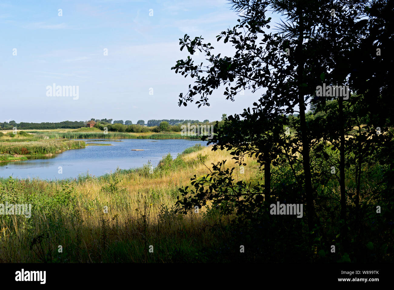 North Cave Wetlands, a nature reserve in East Yorkshire, England UK