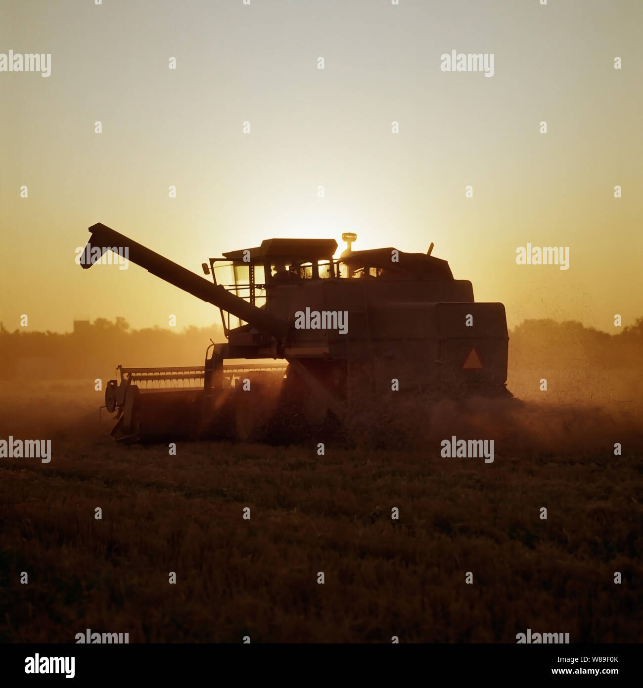 Combine harvesting ripe wheat as the sun sets Stock Photo - Alamy