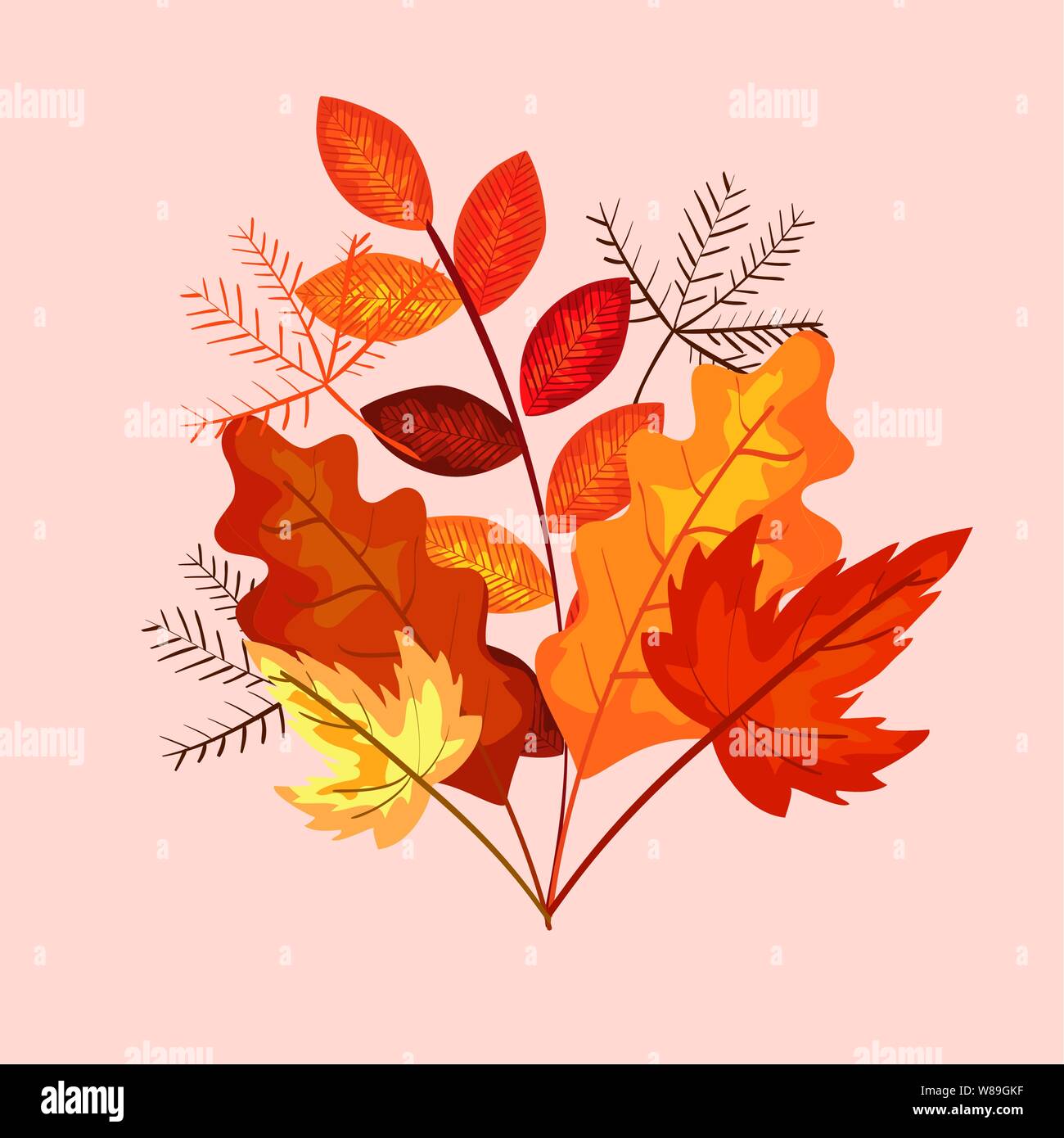 autumn branches plants with nature leaves Stock Vector Image & Art - Alamy