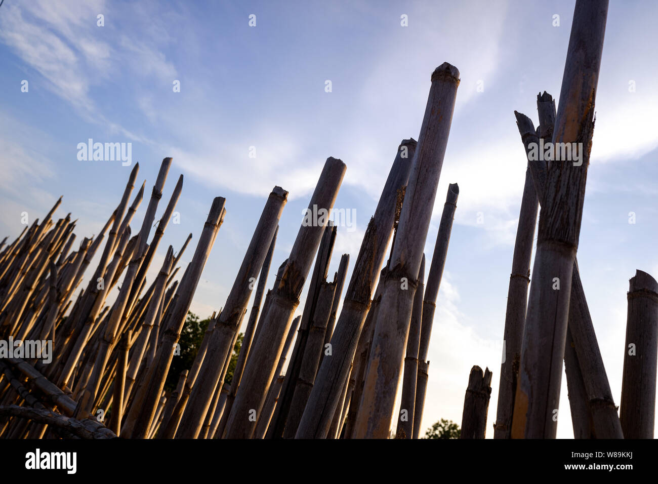 Fencing created using the dry reeds and environmental resources available. Stock Photo