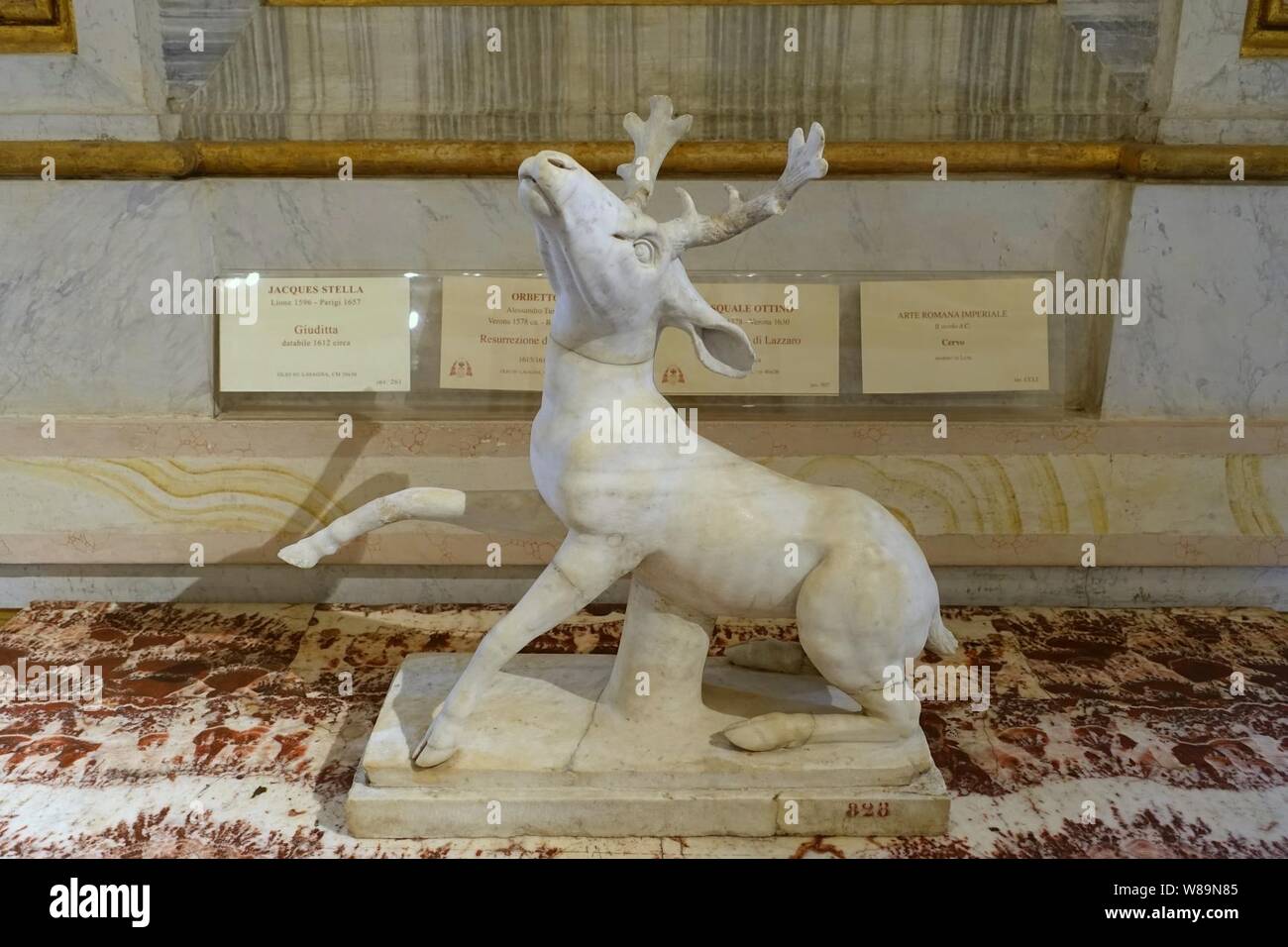 Deer Rome Galleria borghese collection hi-res stock photography and images - Alamy