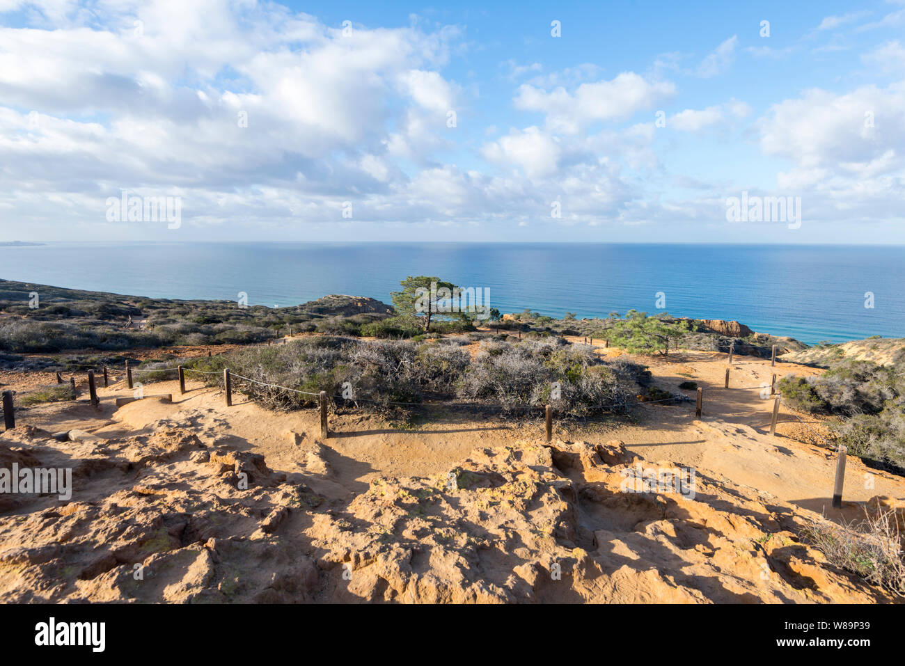 Looking down on the Torrey Pines State Natural Reserve and the Pacific Ocean.  La Jolla, CA, USA. Stock Photo