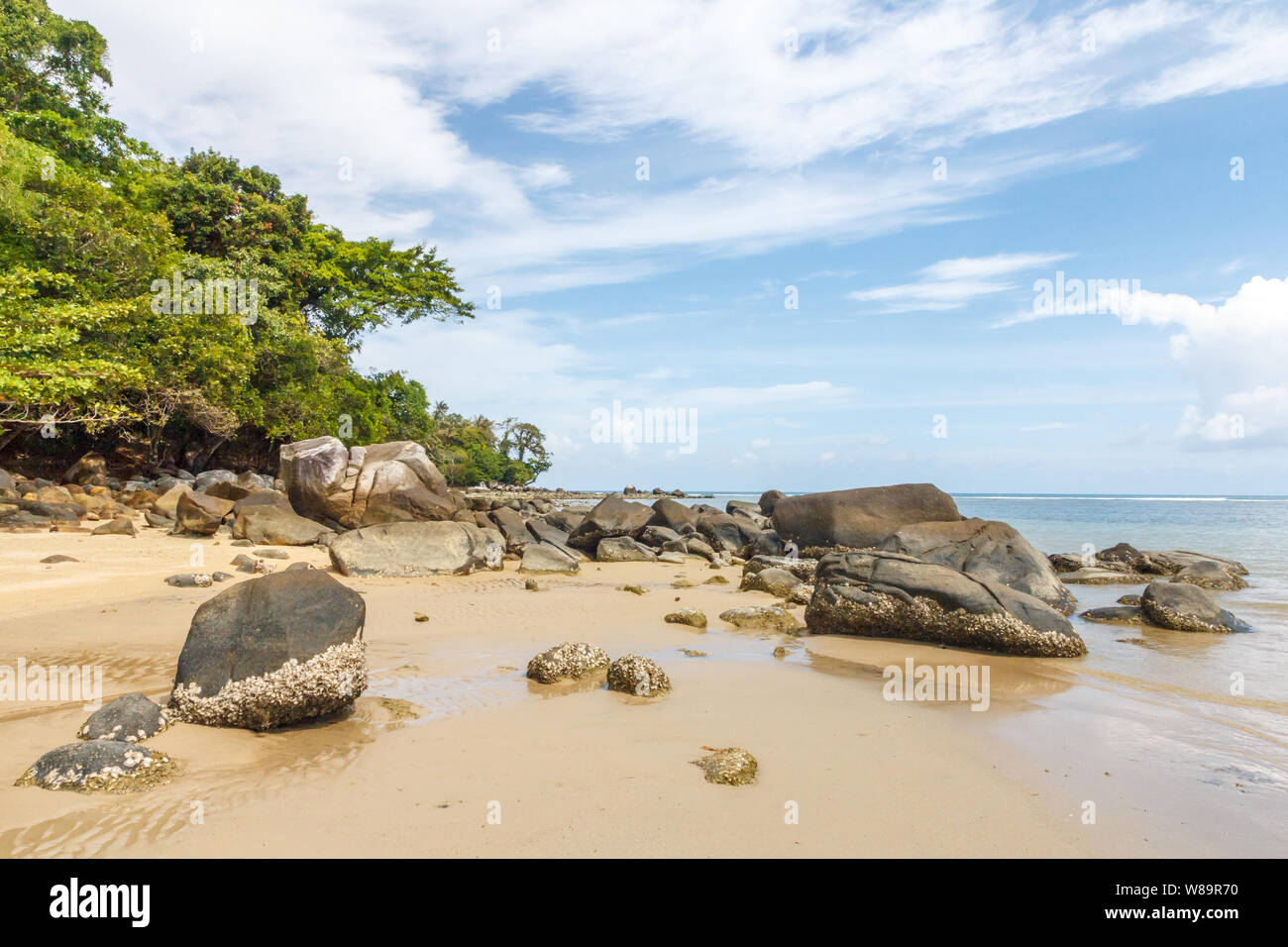 Trees and rocks, Nai Yang beach, Phuket, Thailand Stock Photo - Alamy