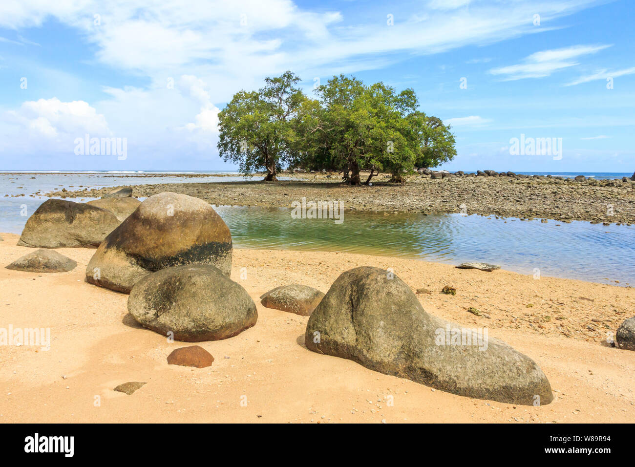 Trees and rocks, Nai Yang beach, Phuket, Thailand Stock Photo - Alamy