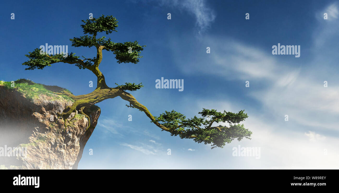 old tree growing on a cliff, fairy tale landscape Stock Photo - Alamy