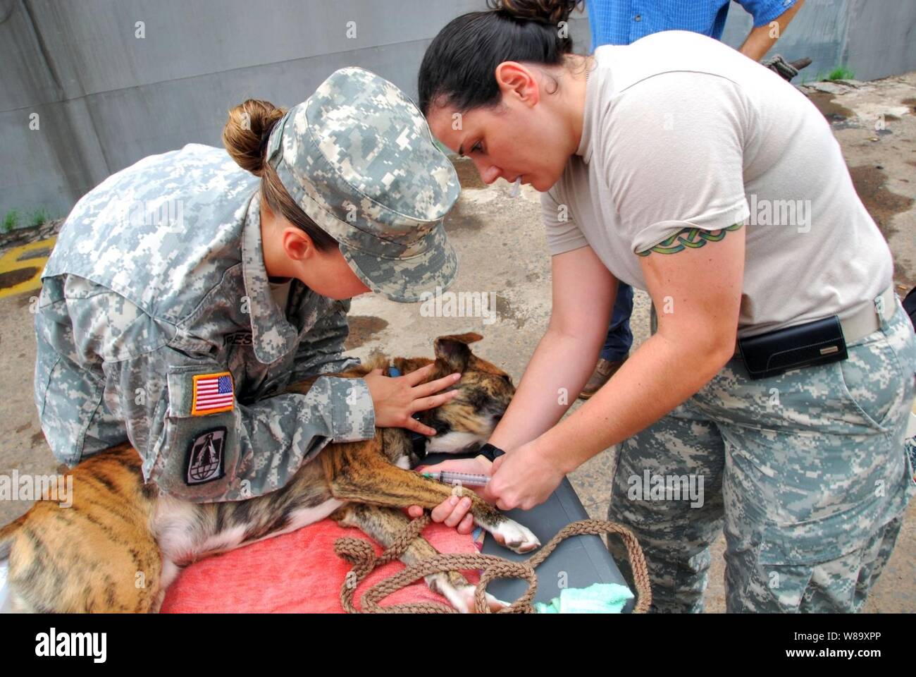 Fort Hood Veterinary Center