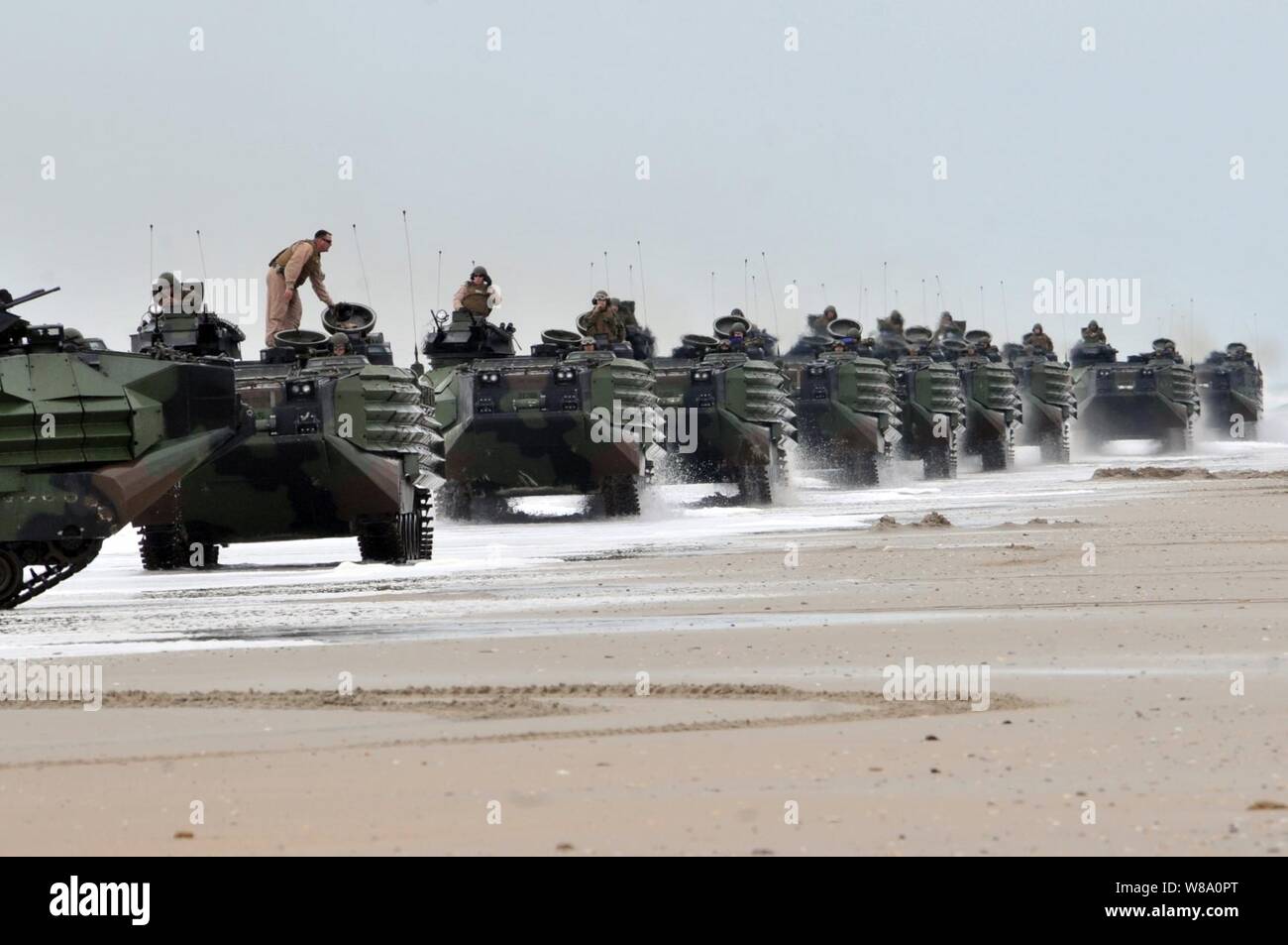 U.S. Marine Corps amphibious assault vehicles move into position after reaching the beach during the amphibious assault phase of Bold Alligator 2012 at Camp Lejeune, N.C., on Feb. 6, 2012.  Bold Alligator is a joint and multinational amphibious assault exercise involving several foreign militaries and the U.S. Navy and Marine Corps designed to execute brigade-sized amphibious assaults against low-to-medium land and maritime threats to improve amphibious core competencies. Stock Photo