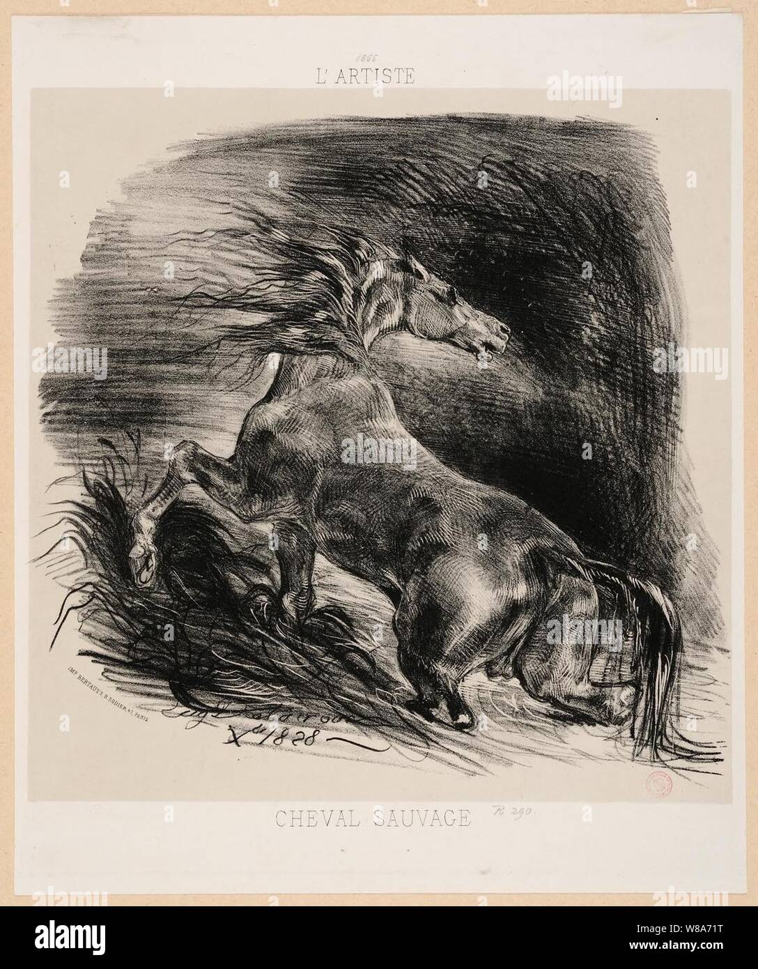 Delacroix Cheval sauvage 1828. Stock Photo