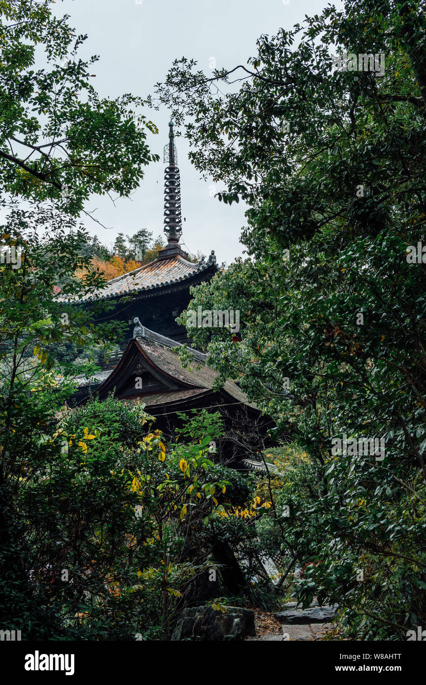 Hidden traditional Japanese pagoda in forest for pilgrimage on Shikoku Island -  the Ishiteji Temple in Matsuyama, Ehime, Japan Stock Photo