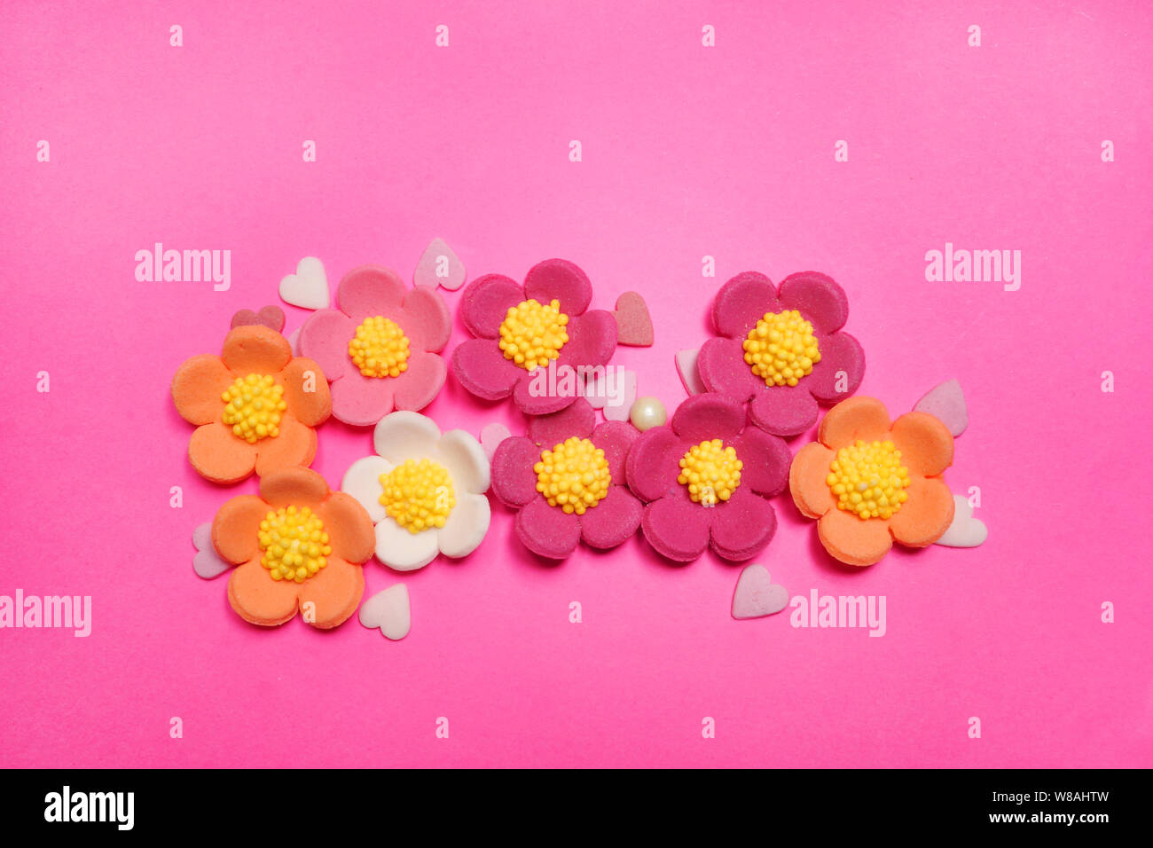 Easter flower on pink background Stock Photo