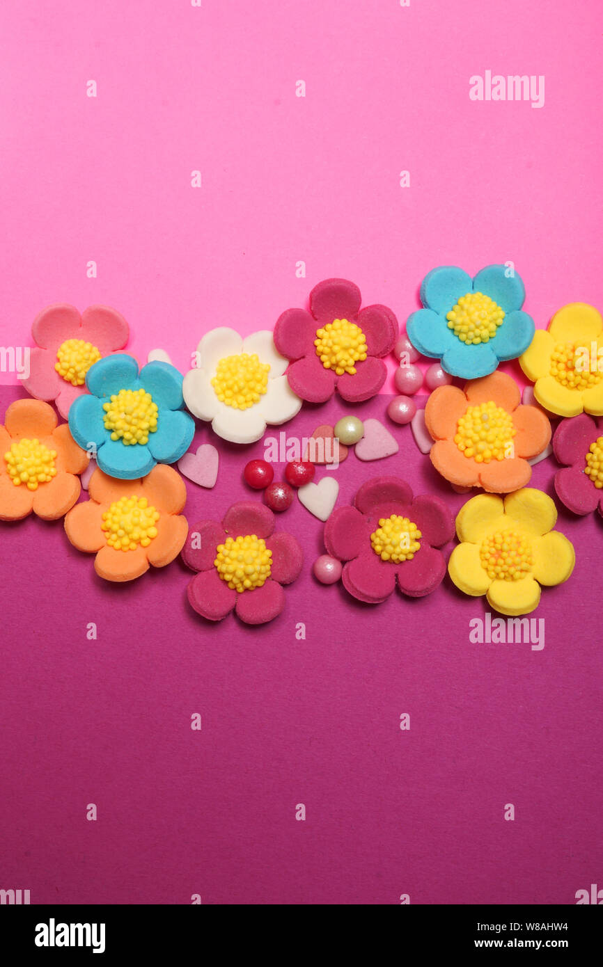 Easter flower on pink background Stock Photo