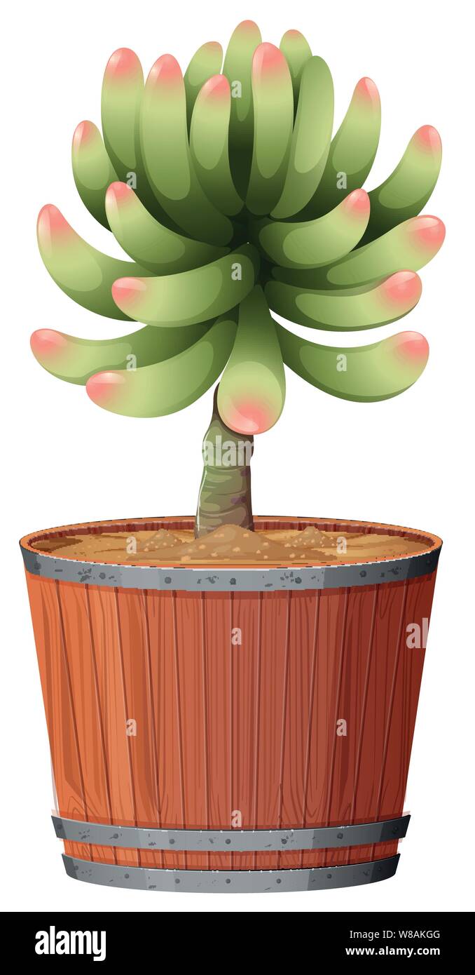 Plant in pot with soil isolated illustration Stock Vector Image & Art ...