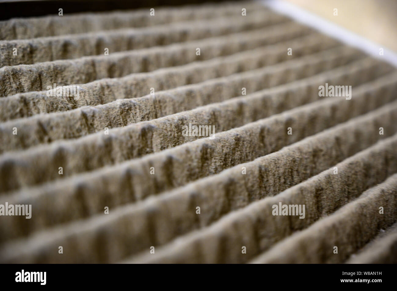 Dirty and dusty used house air filter close-up Stock Photo