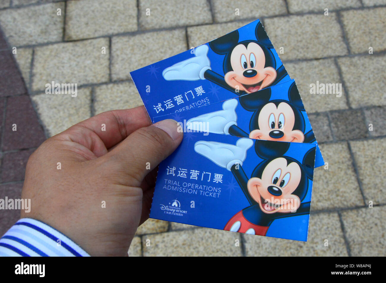 --FILE--A visitor shows tickets in the Shanghai Disneyland during the trial operation at the Shanghai Disney Resort in Pudong, Shanghai, China, 13 Jun Stock Photo