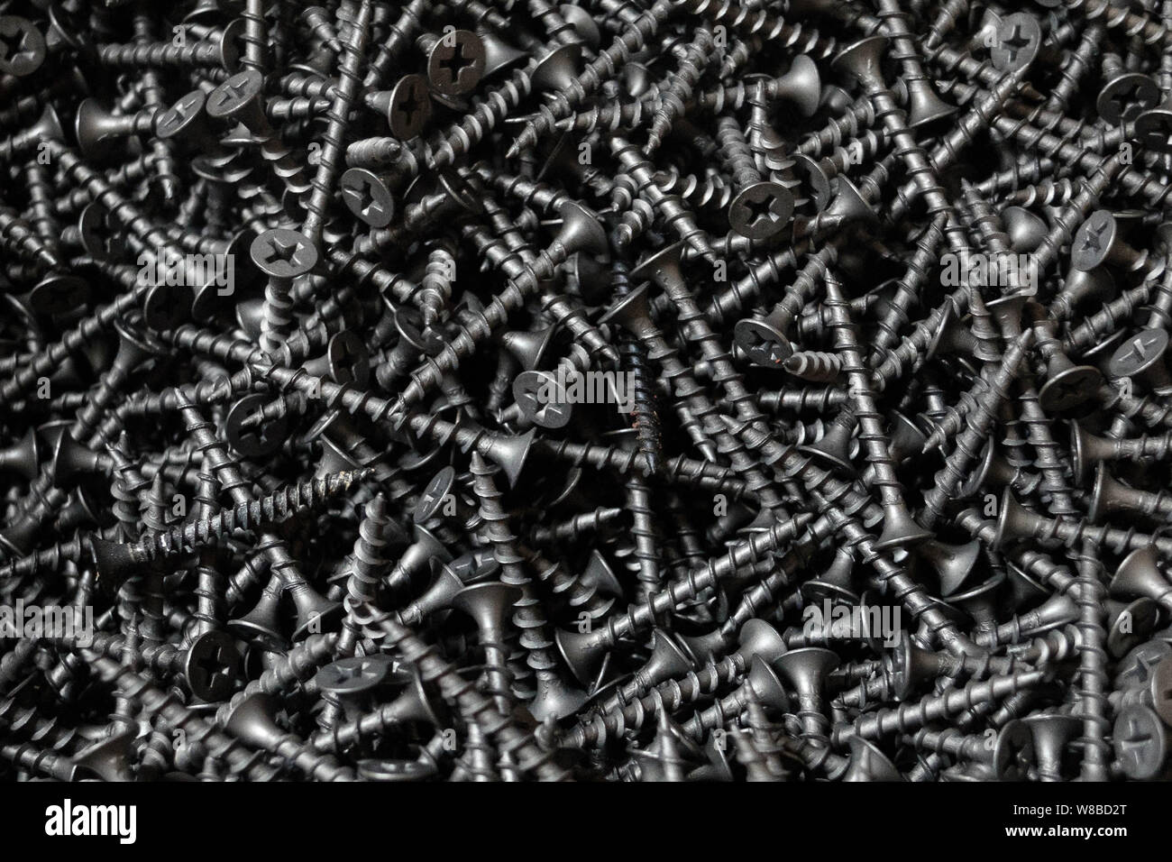 Black screws for wood made of steel with cross-shaped grooves on conical head. Stock Photo