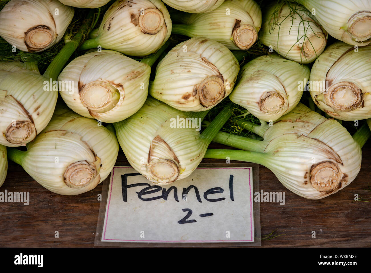 Fresh fennel offered for sale at farmers market hires stock