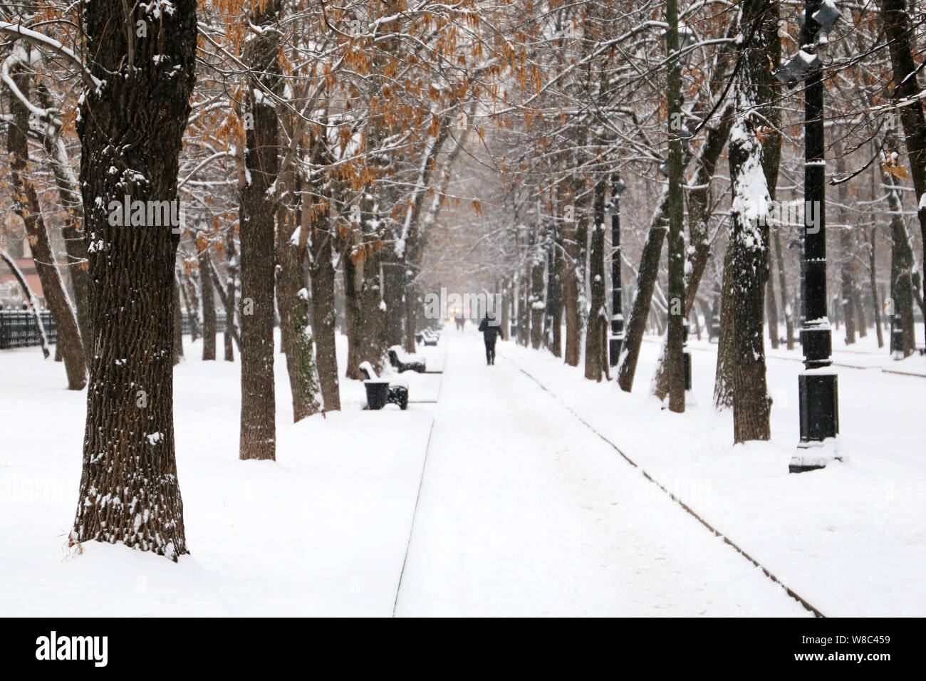 Snowfall in city park, blizzard and cold weather concept. People walking on a snowy walkway in winter, trees with dry leaves are covered with snow Stock Photo