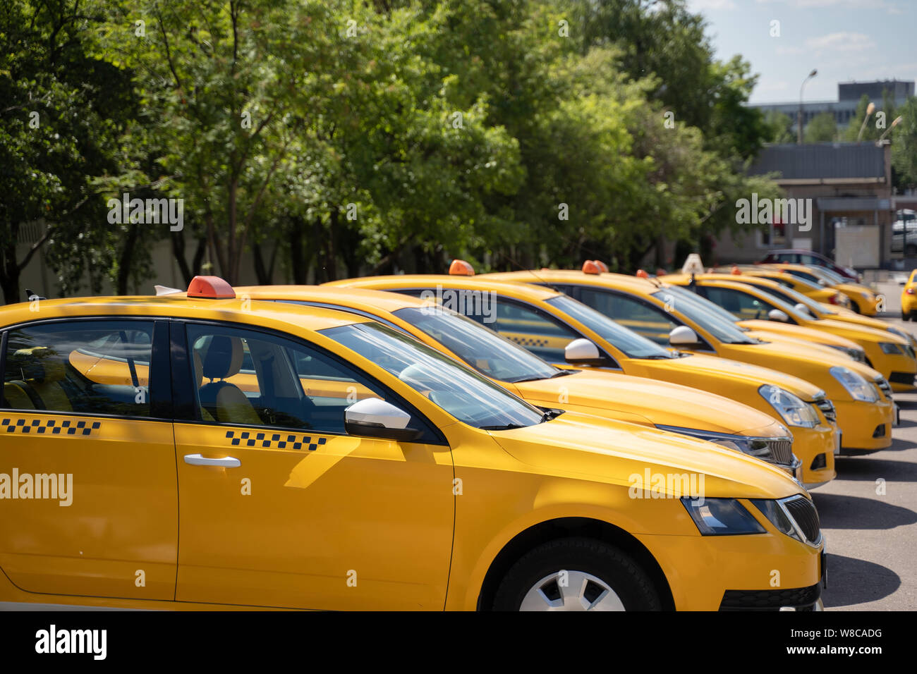 Photo of several yellow taxi on street in summer Stock Photo