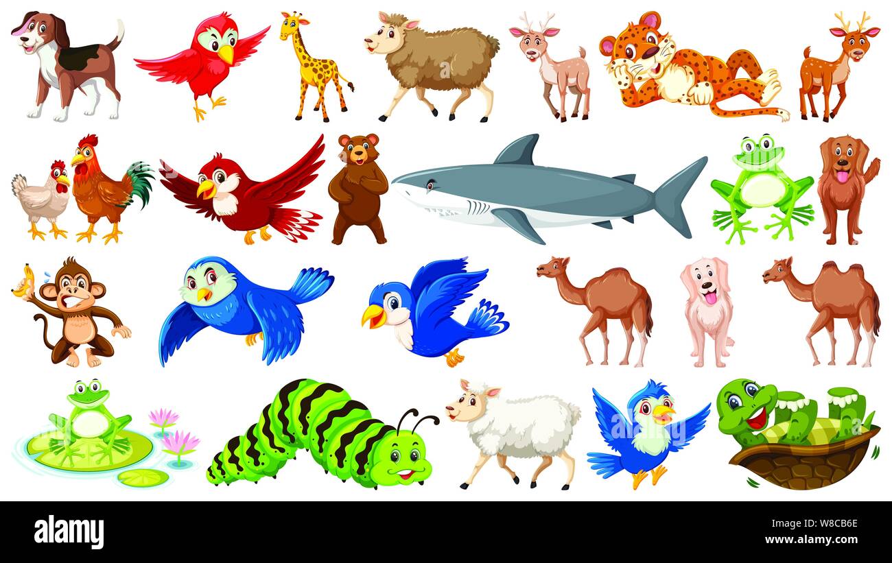 Set of many wild animals illustration Stock Vector