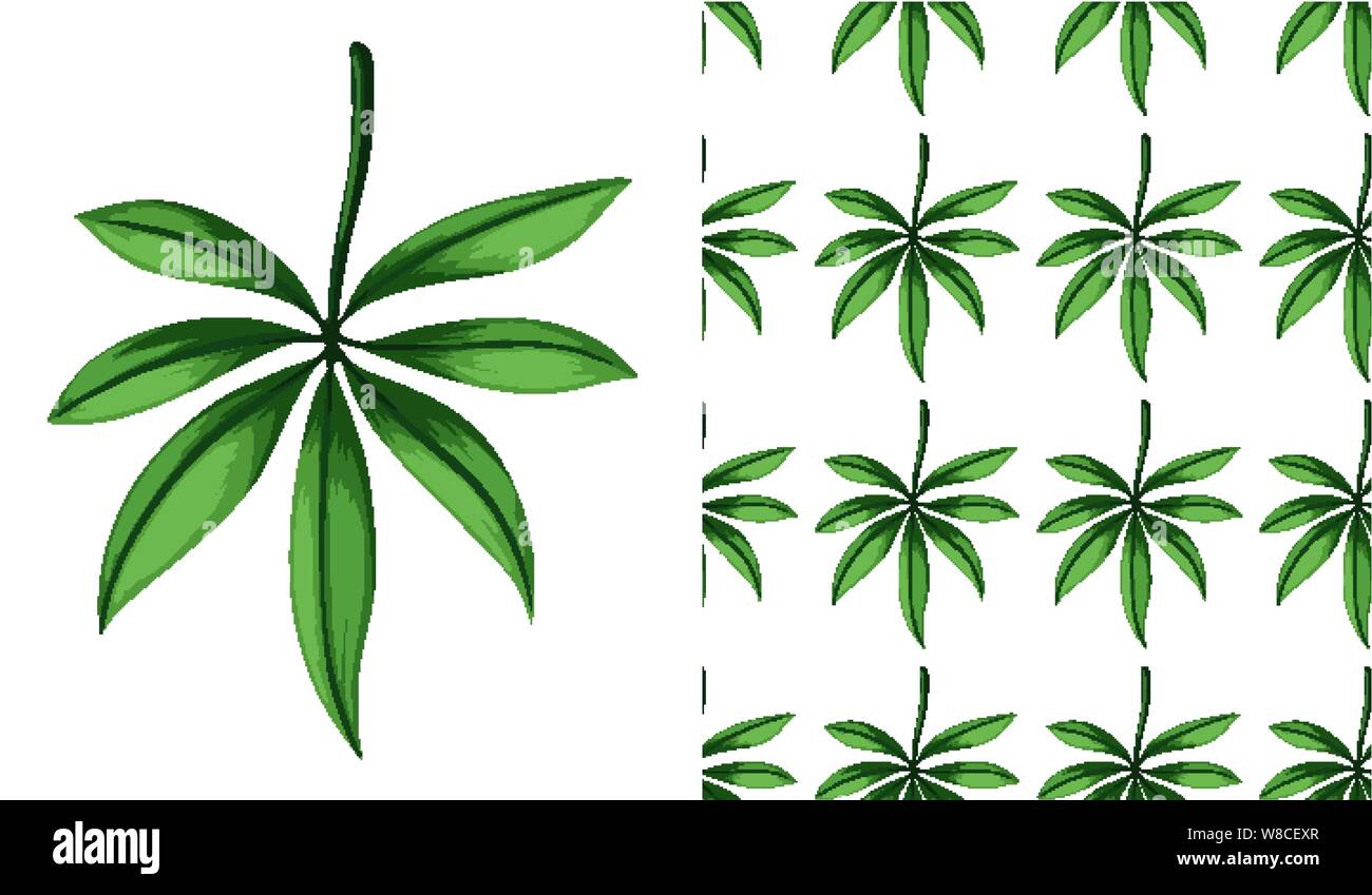 A seamless pattern of flowers on white illustration Stock Vector Image ...