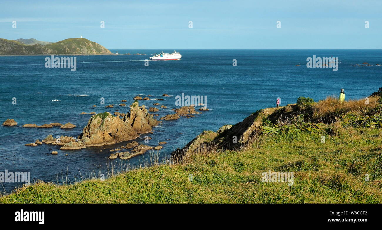 On a calm winter day, the ferry Aratere leaves Wellington Harbour, bound for Picton in the South Island, watched by two walkers on Point Dorset Stock Photo