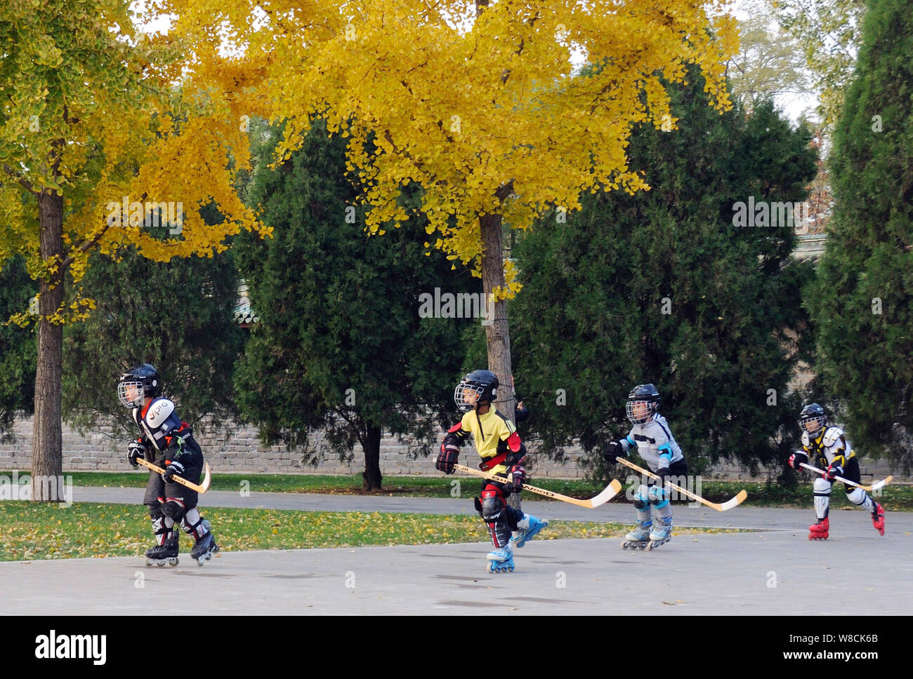 Young Chinese boys learn skills of ice hockey at Ditan Park in Beijing, China, 8 November 2015.   Ice hockey and skiing become increasingly popular am Stock Photo
