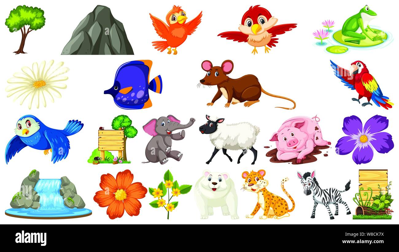 Set of different wild animals illustration Stock Vector Image & Art - Alamy