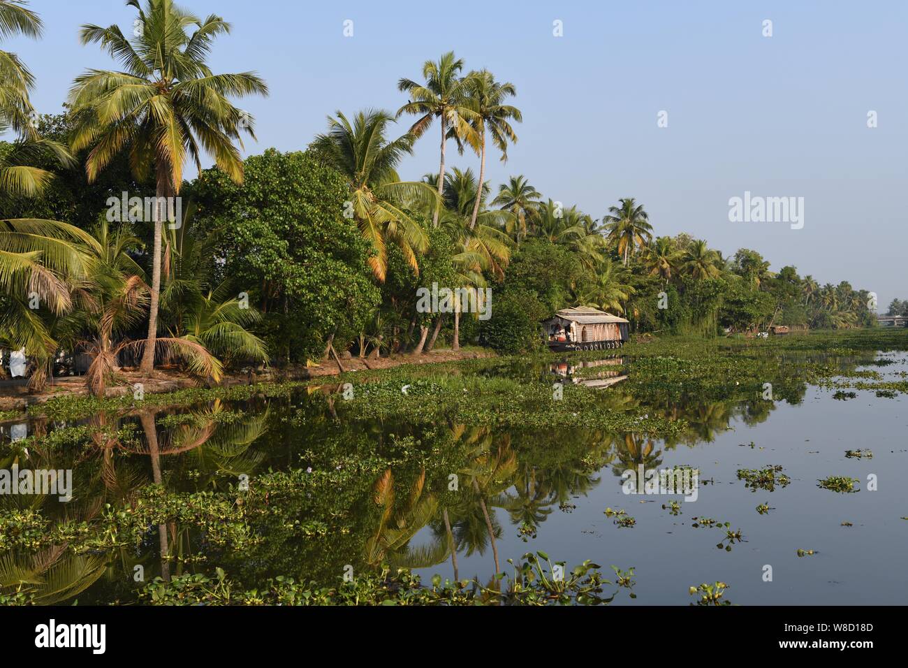 Kerala backwaters. Houseboats in the backwater canals in Kerala, India ...