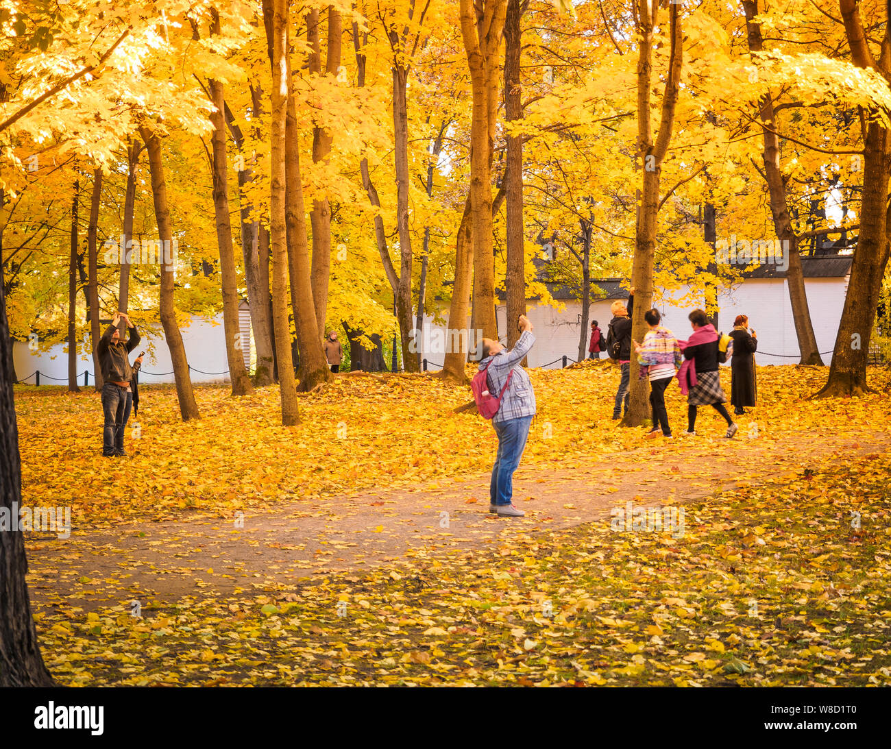 Moscow Russia October 11 18 Tourists Walks Autumn Park People Take Pictures On The Background Of A Beautiful Yellowed Maple In The Autumn Park Stock Photo Alamy
