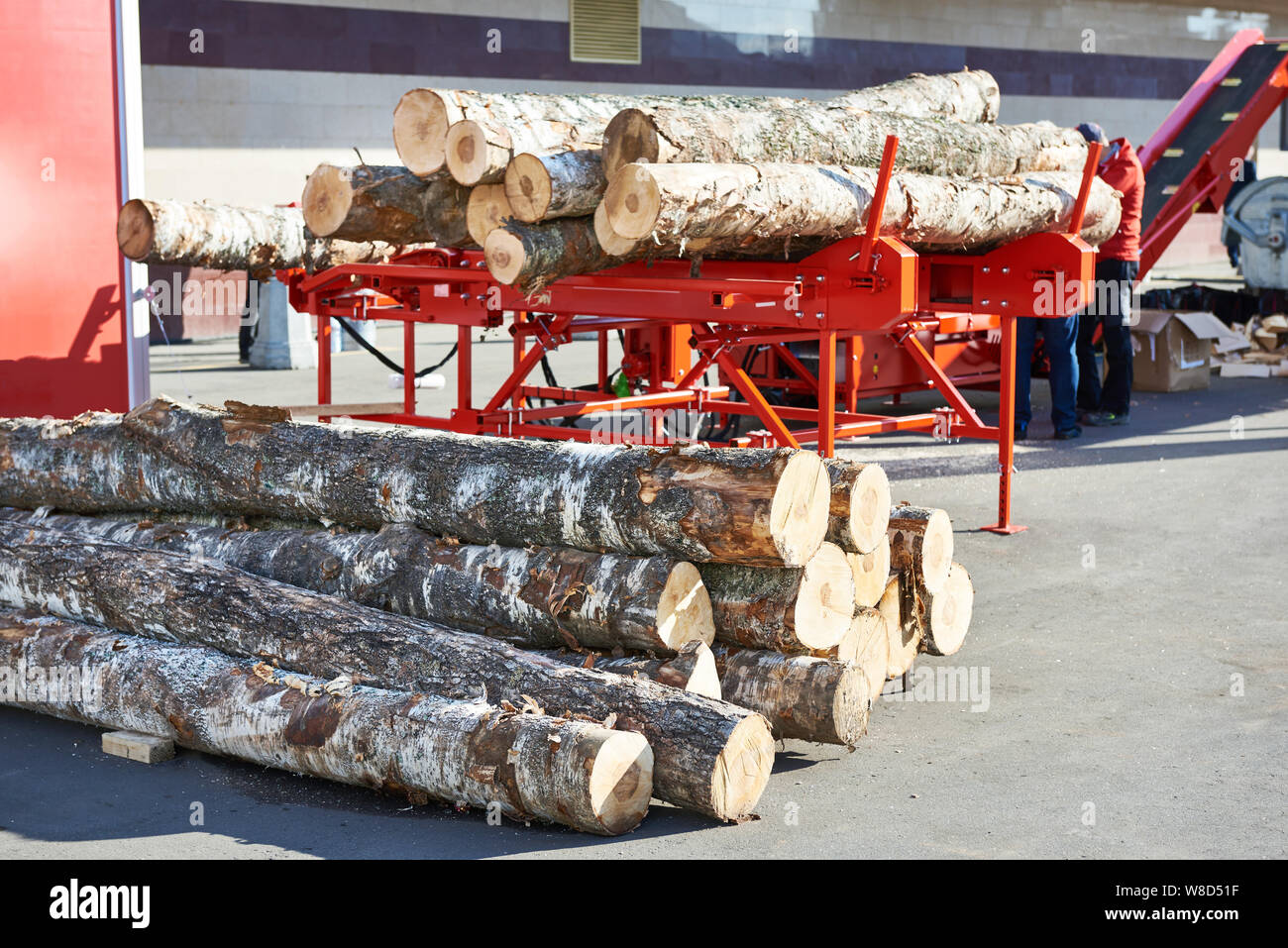 Birch logs at the sawmill sunny Stock Photo